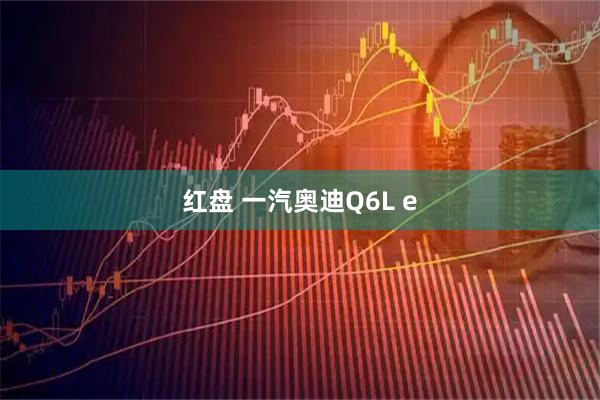 红盘 一汽奥迪Q6L e